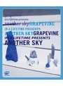in a lifetime presents another sky（通常盤） （ブルーレイディスク）