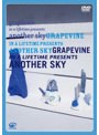 in a lifetime presents another sky（通常盤）