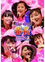 スマイレージ コンサートツアー2012秋〜ちょいカワ番長〜/スマイレージ のパッケージ