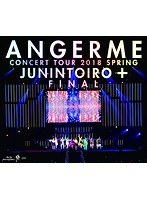 コンサートツアー2018春十人十色＋ファイナル/アンジュルム （ブルーレイディスク）