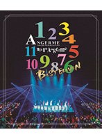 アンジュルム コンサートツアー 2023 秋 11人のアンジュルム〜BEST ELEVEN〜 （ブルーレイディスク）