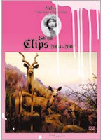 Salyu Clips 2004-2007/Salyu のパッケージ
