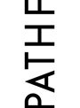 BUMP OF CHICKEN TOUR 2017-2018 PATHFINDER SAITAMA SUPER ARENA/BUMP OF CHICKEN (初回限定盤 ブルーレイディスク)