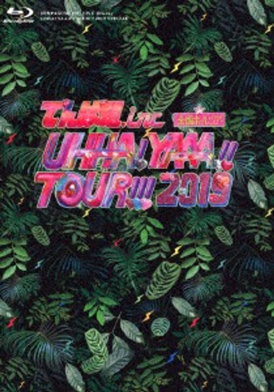UHHA！ YAAA！！ TOUR！！！ 2019 SPECIAL/でんぱ組.inc （初回限定盤 ブルーレイディスク）