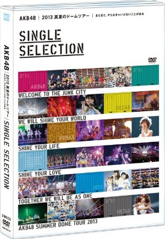 AKB48 2013 真夏のドームツアー～まだまだ、やらなきゃいけないことがある～/AKB48 【SINGLE SELECTION 2枚組DVD】