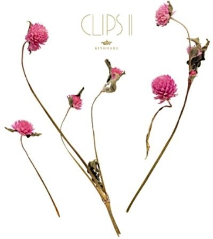 Kiyoharu CLIPS II/清春 （ブルーレイディスク）