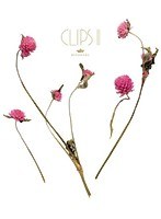 Kiyoharu CLIPS II/清春 （ブルーレイディスク）