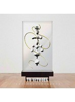 TM NETWORK 2012-2015/TM NETWORK（初回生産限定盤 ブルーレイディスク）