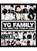 YG FAMILY WORLD TOUR 2014-POWER-in Japan （ブルーレイディスク）