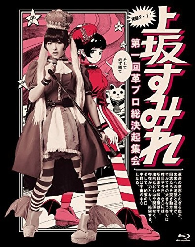 実録・2.11 第一回革ブロ総決起集会/上坂すみれ （ブルーレイディスク）