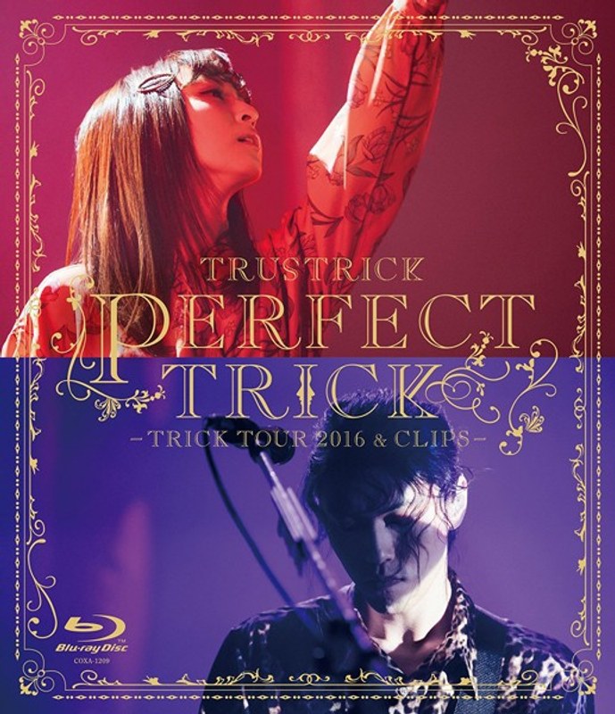 PERFECT TRICK-TRICK TOUR 2016＆CLIPS-/TRUSTRICK （ブルーレイディスク）