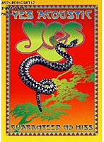 アコースティック/イエス