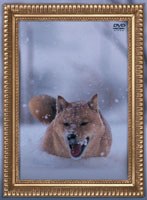 レオナルド犬プリオ（初回） のパッケージ