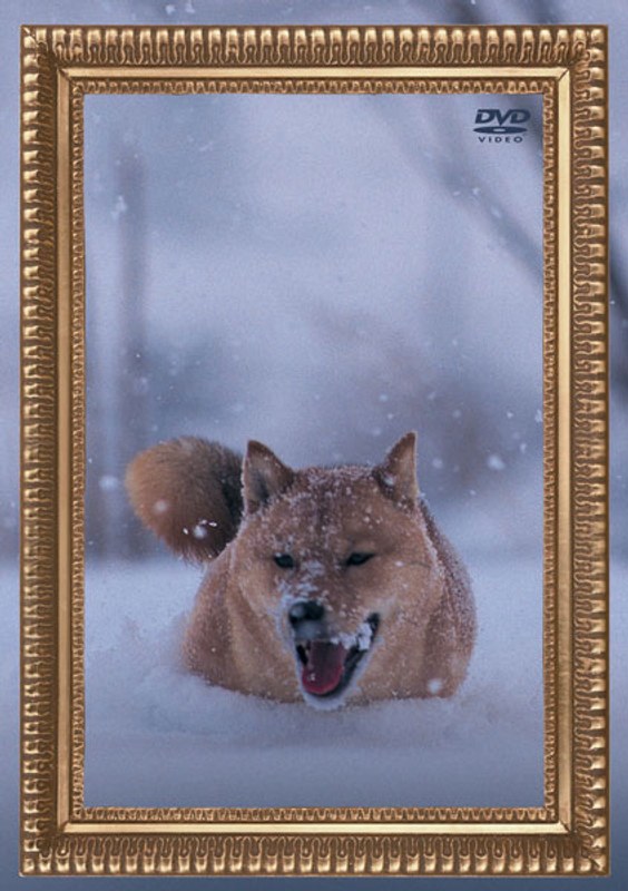 レオナルドイヌプリオ/電気グルーヴ （通常盤）