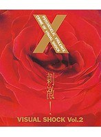 刺激！VISUAL SHOCK Vol.2/X （ブルーレイディスク）