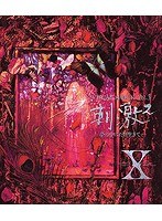 VISUAL SHOCK Vol.3 刺激2-夢の中にだけ生きて-/X （ブルーレイディスク）