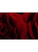 『Celebration tour 2018』/加藤ミリヤ（完全生産限定盤） のパッケージ