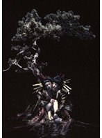 the GazettE LIVE TOUR12-13【DIVISION】FINAL MELT LIVE AT 03.10 SAITAMA SUPER ARENA （ブルーレイディスク）