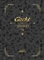 PLATINUM BOX〜VI〜/GACKT<限定生産>
