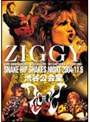 SNAKE HIP SHAKES/ZIGGY結成20周年記念ライブ 渋谷公会堂2DAYS「VICISSITUDES OF FORTUNE」〜SNAKE HIP SHAKES NIGHT 2004.11.6〜