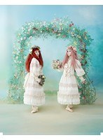 ALI PROJECT TOUR 2013 令嬢薔薇図鑑 顧客閲覧界/ALI PROJECT のパッケージ