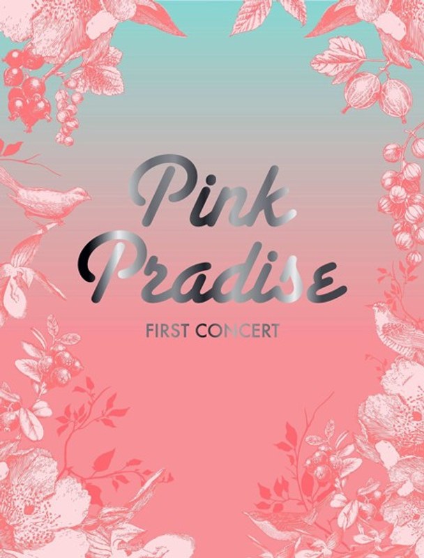 APINK 1st CONCERT「PINK PARADISE」/Apink