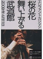 桜の花舞い上がる武道館