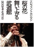 桜の花舞い上がる武道館