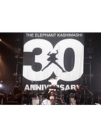 30th ANNIVERSARY TOUR ‘THE FIGHTING MAN’ FINALさいたまスーパーアリーナ/エレファントカシマシ （初回限定盤 ブルーレイディスク）