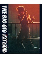THE BIG GIG/甲斐バンド （ブルーレイディスク）