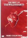 ザ・ベスト・オブ・ワイルドハーツ/ワイルドハーツ
