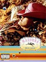 ミュージック/マドンナ