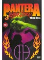 パンテラ映像全集/パンテラ