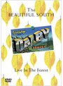 ライヴ・イン・ザ・フォレスト 2005/ザ・ビューティフル・サウス