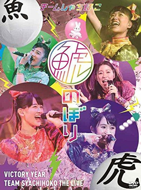 鯱のぼり at 幕張メッセイベントホール/チームしゃちほこ （完全初回生産限定盤 DVD+PlugAir）