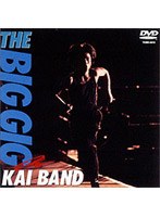 THE BIG GIG/甲斐バンド のパッケージ