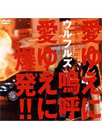 愛ゆえに嗚呼愛ゆえに爆発！/ウルフルズ のパッケージ