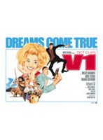 DCT CLIPS V1 のパッケージ