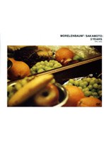 3 years/MORELENBAUM2/SAKAMOTO