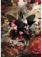 『FALLING』 THE LIVE/sads