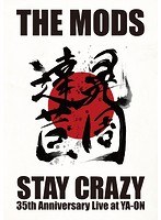 STAY CRAZY/THE MODS のパッケージ