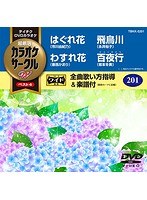 テイチクDVDカラオケ カラオケサークル W ベスト4 5201