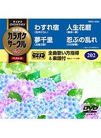 テイチクDVDカラオケ カラオケサークル W ベスト4 5202