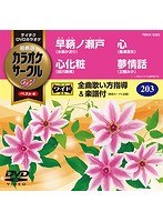 テイチクDVDカラオケ カラオケサークル W ベスト4 5203 のパッケージ