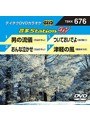 テイチクDVDカラオケ 音多Station W 676