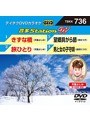 テイチクDVDカラオケ 音多Station W 736