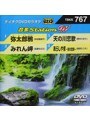 テイチクDVDカラオケ 音多Station W 767