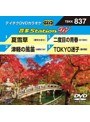 テイチクDVDカラオケ 音多Station W 837