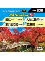 テイチクDVDカラオケ 音多Station W 838