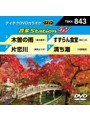 テイチクDVDカラオケ 音多Station W 843